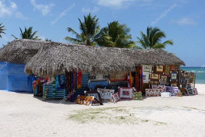 6 + 1 Full Day Isla Saona Tour and Snorkel in Natural Pool Mangroves Bayahibe - Photo 1 of 9